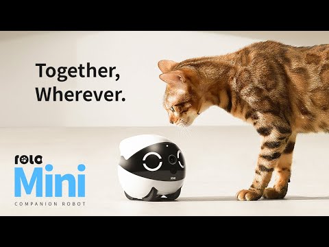 A Video Of ROLA Mini Companion Robot