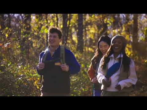 A Video Of JBL Clip 5 - Waterproof Portable Speaker