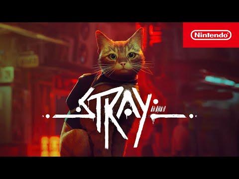 A Video Of Stray for Nintendo Switch