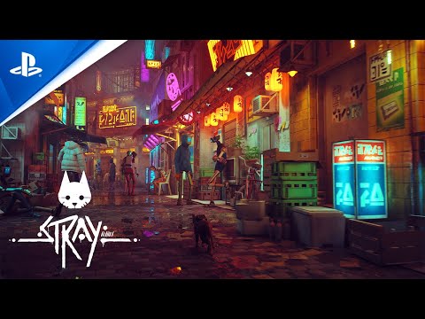 A Video Of Stray for PS5