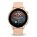 A Small Photo Of Garmin Vivoactive 6's Color Variant